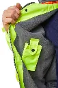 CBJFLSY_3.webp