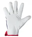 thumb_rekawica_robocza_cabra_(2).webp