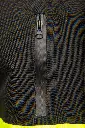 _dsc6255-edit.webp